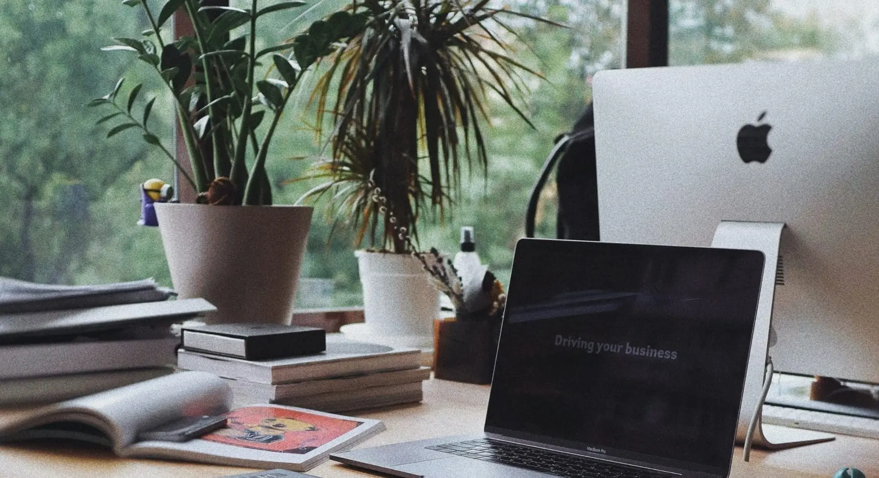 a workstation with plants, books, and computer